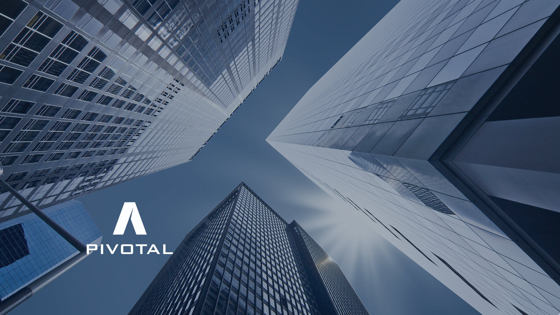 portfolio-companies-pivotal-website.png