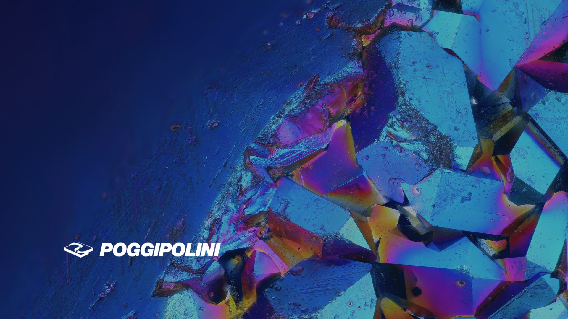 portfolio-companies-poggipolini-website.png